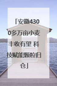 安徽4300多万亩小麦丰收有望 科技赋能颗粒归仓